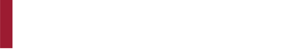 Revel Logo Reversed